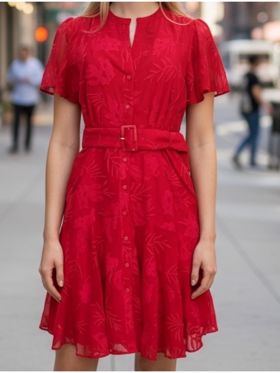 Anthropologie Dresses & Skirts - Anthropologie Ranna Gill Scarlette Embroidered Mini Dress in Red small